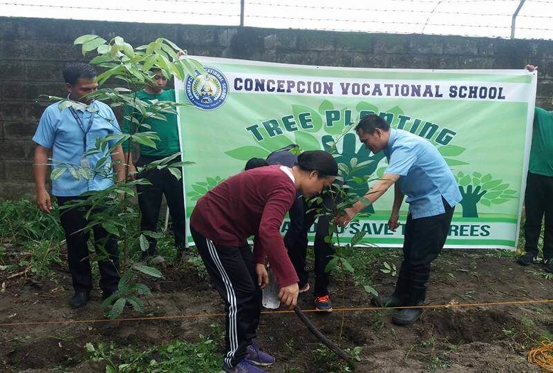 Cool and shady tree-planting 2017